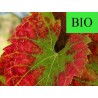 Vigne Rouge BIO - Feuille coupée en vrac - Sachet de 100g pour tisane