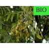 Frêne BIO - Feuille qualité extra coupée menu en vrac - Sachet de 100g pour tisane