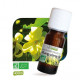 Ylang Ylang complète, huile essentielle bio, flacon de 10 ml