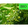 Tilleul Officinal BIO - Super bractée coupée menu en vrac - Sachet de 50g pour tisane