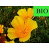 Eschscholtzia BIO - Partie aérienne en vrac - Sachet de 100g pour tisane