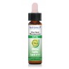 Elixir Fleur de Bach 19 LARCH 10 ml