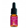 Elixir Fleur de Bach 15 HOLLY 10 ml
