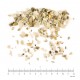 Calamus ( Acore Odorant) rhizome naturel en vrac - sachet de 100gr pour tisane