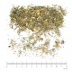 Aigremoine sommité en vrac- Sachet de 100g pour tisane