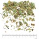 Myrtille ( Airelle) feuille en vrac - sachet de 100gr pour tisane