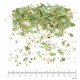 Alchemille Vulgaire partie aérienne en vrac - sachet de 100gr pour tisane