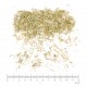 Sabline Rouge ( Arenaria Rubra) partie aérienne en vrac - sachet de 200gr pour tisane