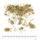 Arnica capitule floral en vrac - sachet de 100gr pour tisane