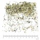 Bétoine partie aérienne en vrac- sachet de 100g pour tisane