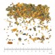 Bourdaine BIO écorce en vrac- sachet de 200g pour tisane