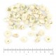 Camomille Romaine capitule floral trié en vrac - sachet de 50gr pour tisane