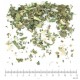 Chardon Marie partie aérienne en vrac- sachet de 100g pour tisane