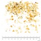 Citron écorce de fruit coupée menu en vrac - sachet de 100gr pour tisane