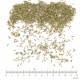 Cumin fruit en vrac - sachet de 200gr pour tisane