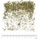 Epilobe Parviflorum BIO partie aérienne en vrac - sachet de 100gr pour tisane