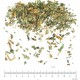 Fougère Mâle fronde en vrac - sachet de 100gr pour tisane