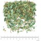 Fraisier feuille en vrac - sachet de 200gr pour tisane