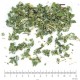 Framboisier feuille en vrac - sachet de 100gr pour tisane