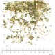 Partenelle ( Grande Camomille) partie aérienne en vrac - sachet de 100gr pour tisane
