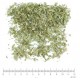 Guimauve BIO feuille coupée menu en vrac - sachet de 100gr pour tisane