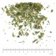 Gymnema Sylvestris feuille en vrac - sachet de 100gr pour tisane
