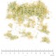 Immortelle BIO fleur jaune en vrac - sachet de 50gr pour tisane