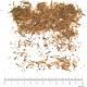 Lapacho écorce en vrac - sachet de 100gr pour tisane