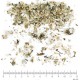 Lichen d'Islande thalle en vrac - sachet de 100gr pour tisane