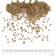 Lin graine triée en vrac - sachet de 200gr pour tisane