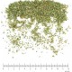 Marjolaine feuille en vrac - sachet de 100gr