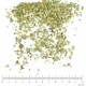 Maté Vert feuille en vrac - sachet de 200gr pour tisane