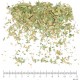 Myrte feuille en vrac - sachet de 100gr pour tisane