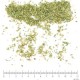 Origan feuille en vrac - sachet de 200gr pour tisane