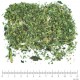 Ortie piquante BIO feuille en vrac - sachet de 100gr pour tisane