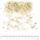 Ortie Piquante racine en vrac - sachet de 100gr pour tisane