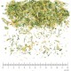 Pensée Sauvage sommité en vrac - sachet de 200gr pour tisane