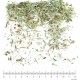 Piloselle partie aérienne en vrac - sachet de 100g pour tisane