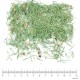 Prêle partie aérienne en vrac - sachet de 100 g pour tisane