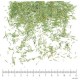 Romarin feuille coupée menu en vrac - sachet de 200gr pour tisane
