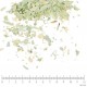 Séné feuille en vrac - sachet de 200g pour tisane