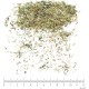 Serpolet partie aérienne en vrac - sachet de 200gr pour tisane