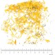 Souci fleur en vrac - sachet de 100 g pour tisane