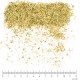 Sureau Noir Bio fleur mondée en vrac - sachet de 100gr pour tisane