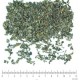 Thé Vert feuille en vrac - sachet de 200gr pour tisane