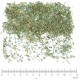 Thym de Provence feuille coupée en vrac - sachet de 100gr pour tisane