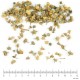Tribule fruit en vrac - sachet de 200gr pour tisane
