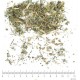 Véronique partie aérienne en vrac- sachet de 100 g pour tisane