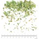 Verveine Odorante BIO feuille coupée menu en vrac - sachet de 100gr pour tisane