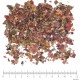 Vigne Rouge feuille coupée menu en vrac - sachet de 100gr pour tisane